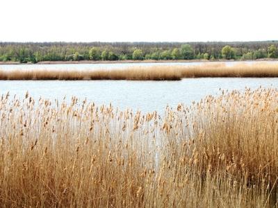 Pátka - Reservoir - Fishing lake - Hungary-stock-foto