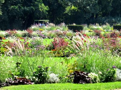 Summer in Margaret Island - Flower Orgy-stock-photo