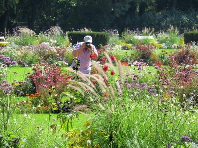 Man photographing flowers - Budapest-stock-photo