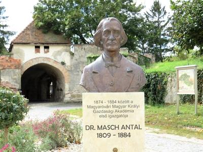Bust of Masch Antal - Mosonmagyaróvár - Economics-stock-foto