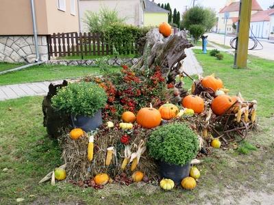 Street decoration with pupkin and corn - Hungary - Halloween-stock-foto
