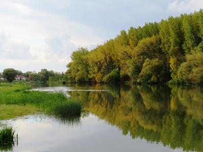 Danube Branch at Mecsér - Nature - Hungary-stock-foto