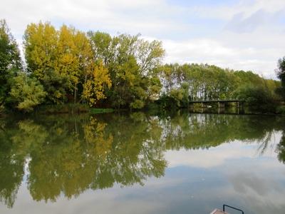 Nature - Duna Branch - Mecsér - Hungary-stock-foto