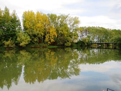 Duna Branch at Mecsér - Hungary - Nature-stock-photo