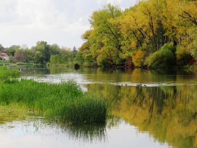 Nature - Duna Branch at Mecsér - Hungary-stock-foto