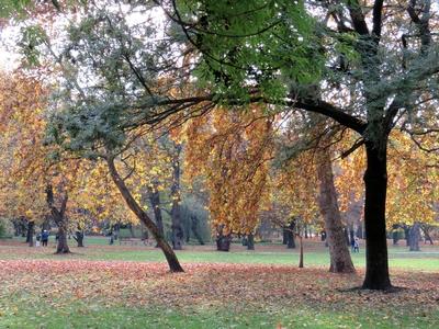 Autumn in the City Park - Budapest - Nature-stock-photo