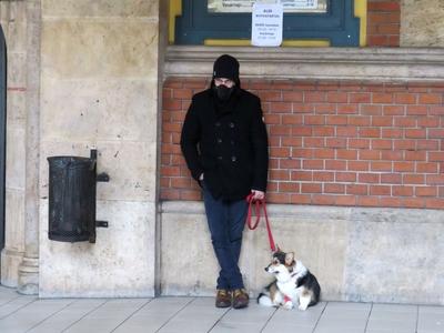 Man with dog in Coronavirus mask - Mudapest Market Hall-stock-photo