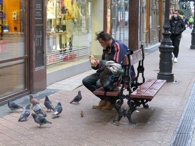 Homeless man sharing his bread with pigeons - Budapest-stock-photo