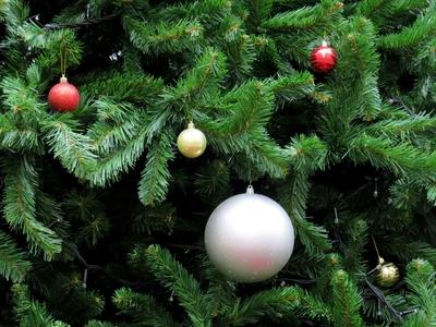 Christmas tree decoration - Pine - Budapest-stock-foto