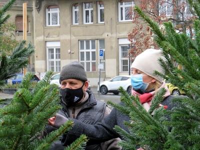 Christmas pine tree fair in Coroinavirus mask - Budapest-stock-photo