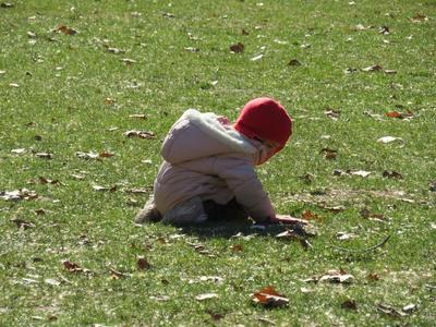 Spring in Budapest - Cihild playing on the lawn in Margaret Island-stock-photo