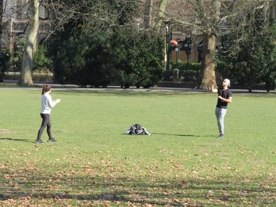 Spring on Margaret Island - Ball players-stock-foto