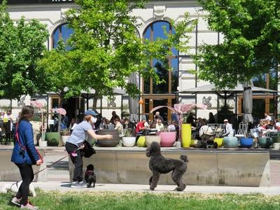 After Coronavirus lockdown - People outside-stock-photo