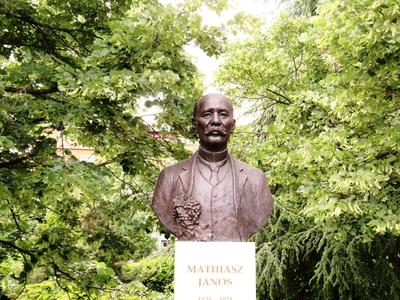 Bust of agriculture Scientist Mathiász János - Budapest-stock-foto