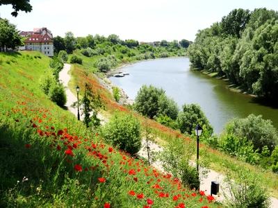 The Sugovica - Danube - Baja - Hungary-stock-foto