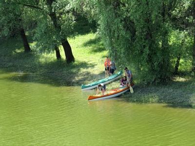 Canoes at Sugovica - Baja - Hungary - Sport - Nature-stock-foto
