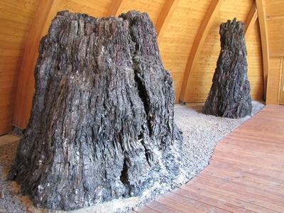 Ipolytarnóc - 7 million yera old tree trunks - Nature wonder-stock-photo