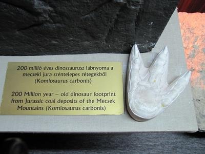 200 million year old Dinosaur footprint - Ipolytarnóc - Nature-stock-photo