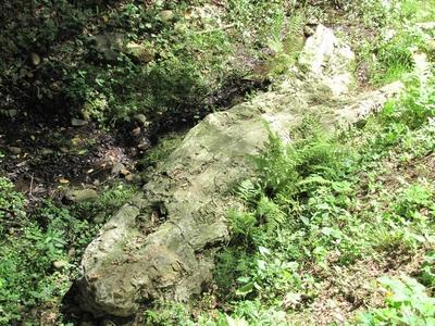 20 million year old petrified tree trunk - Ipolytarnóc - Nature-stock-foto