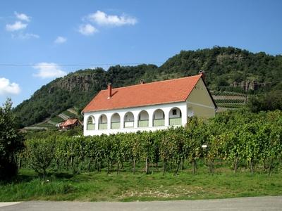 Somló Hill - Vineyards and a press house - Hungary-stock-foto