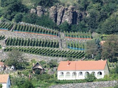 Somló Hill - Hungary - Vineyards and a press house-stock-foto