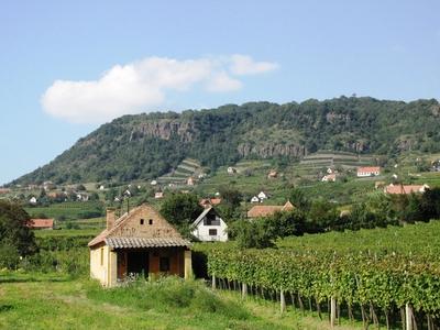 Vineyards -.Somló Hill - Hungary-stock-photo