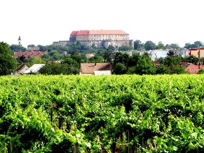Siklós landscape with the castle and vineyards - Hungary-stock-photo