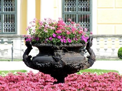 Old vase with flowers - Schönbrunn - Vienna - Austria-stock-foto