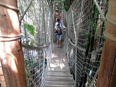Visitors on a rope bridge in the palm house of the Nyíregyháza Zoo - Hungary-stock-foto