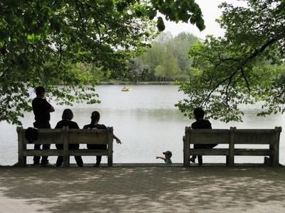 Resting on the shores of Salt Lake - Nyíregyháza - Hungary-stock-foto