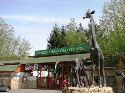 Zoo of Hyíregyháza - Hungary-stock-foto