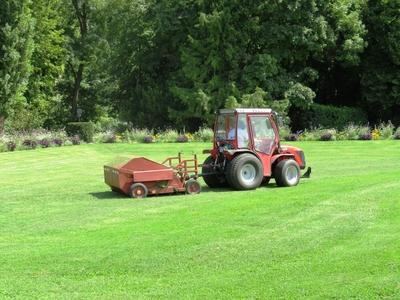 Cut grass picking up machine on Margaret Island - Budapest-stock-foto