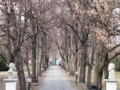 Kiskunhalas Alley - Busts - Hungary-stock-photo