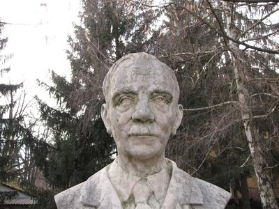 Bust of hungarian teacher Fridrich Lajos - Kiskunhalas-stock-photo