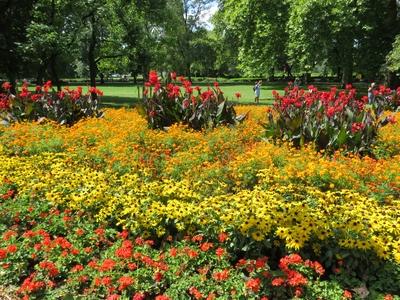 Diversity - Still life in Margaret Island - Hungary-stock-foto