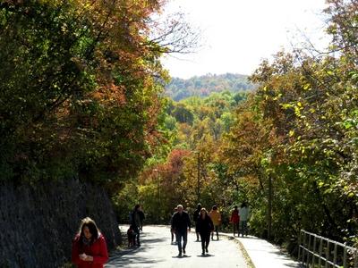 Hikers on János Hill in autumn - Budapest-stock-foto