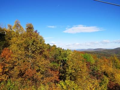 Autumn colors on János Hill - Budapest - Nature-stock-photo