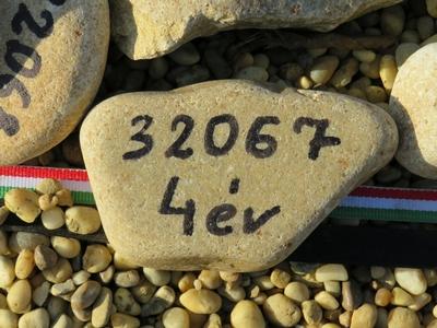 4 years old victim of COVID - Memorial gravel - Budapest-stock-photo
