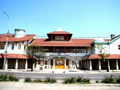 Gyál, 2010. április 24.A gyáli Nemzeti Kamara Színház, az Arany János Közösségi ház és Városi könyvtár közös épülete.-stock-foto