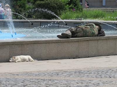 Bratislava (Pozsony), 19 May 2018Sleeping man and dog at a fountain.Alvó ember és kutya egy szökõkútnál.-stock-foto