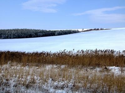 Winter landscape near Zsámbék - Hungary-stock-photo