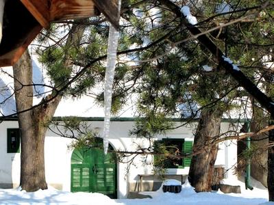 Icicle - Wine cellars of Tök in winter - Hungary-stock-foto