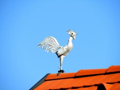 Crowing rooster building decoration - Hajdúszoboszló.- Hungary-stock-photo