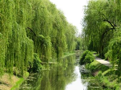 The river Zagyva at Jászberény-stock-foto