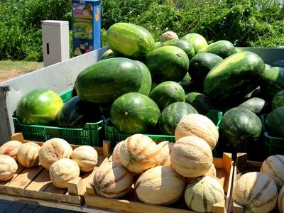 Melons and watermelons at the Ráckeve market - Fruits-stock-foto