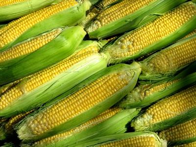 Corn on the Ráckeve market - Hungary-stock-photo