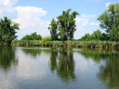 Szajol - Dead Tisza river branch - Hungary - Nature - Environment-stock-photo