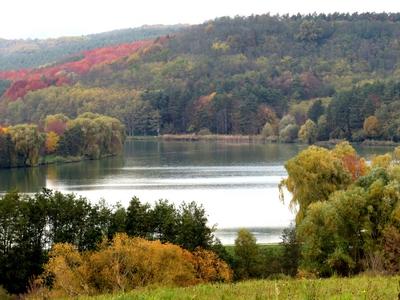 Nőtincs Szent István Lake - Nature - Autumn colors-stock-foto