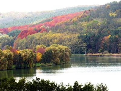 Nőtincs Szent István Lake in Autumn colors - Hungary - Nature-stock-foto