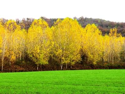 Autumn landscape at the border of Vanyarc - Hungary - Nature-stock-photo